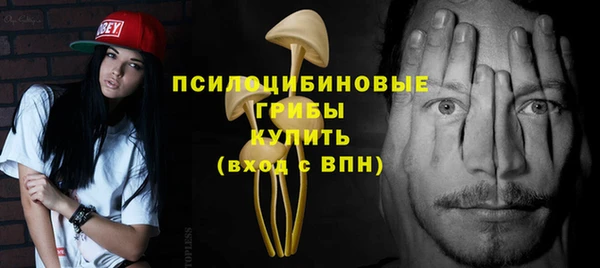 apvp Аркадак