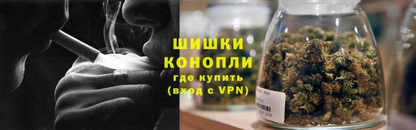 apvp Аркадак