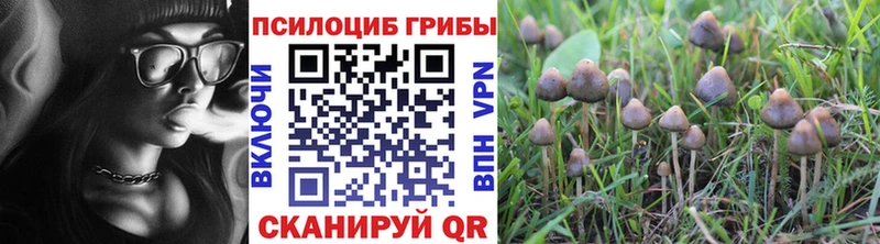 мега онион  Знаменск  Псилоцибиновые грибы ЛСД 
